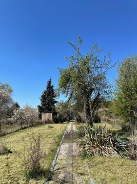 Foto - Grundst&uuml;ck in Quedlinburg zur Miete