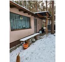 Charmanter Bungalow im Grünen Dübener Heid– Ruhe, Natur & Komfort - Delitzsch