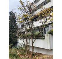 Schöne 2 Zimmerwohnung in Bensberg tolle Lage - Bergisch Gladbach Alt-Frankenforst