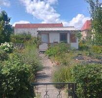 Kleingarten im KGV Neunimptscher Straße e.V. (Anzeige-Nr. 2) - Dresden Cotta