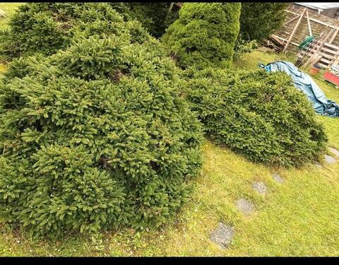 Foto - Grundst&uuml;ck in Seegebiet Mansfelder Land