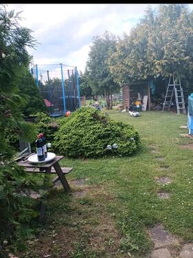 Foto - Grundst&uuml;ck in Seegebiet Mansfelder Land zur Miete