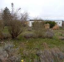 Garten Eigentum - 1.200,00&nbsp;EUR Kaltmiete, ca.&nbsp; 0,00&nbsp;m&sup2; in Zeitz (PLZ: 06712)