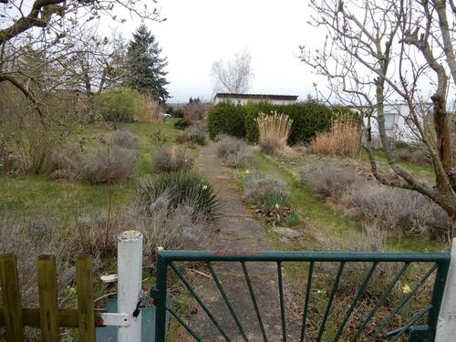 Foto - Grundst&uuml;ck zur Miete in Zeitz