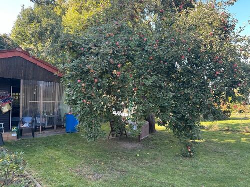 Foto - Grundstück in Salzgitter zur Miete