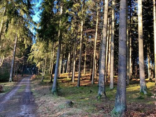 Foto - Erstbezug nach Sanierung: EG-Whg mit Garten & Terrasse