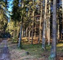 Erstbezug nach Sanierung: EG-Whg mit Garten & Terrasse - Schönberg