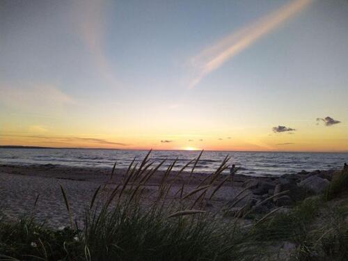 Foto - Ferienwohnung Ostsee FeWo Ostsee nähe Grömitz