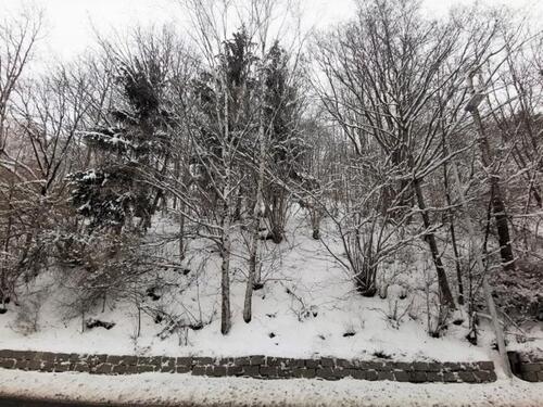 Foto - Grundst&uuml;ck zur Miete in Sebnitz