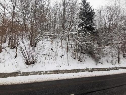 Foto - Grundst&uuml;ck in Sebnitz