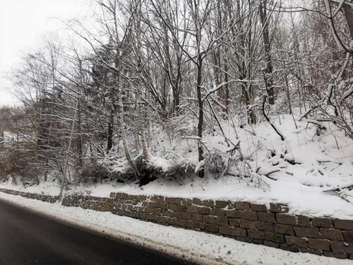 Foto - Grundst&uuml;ck in Sebnitz zur Miete