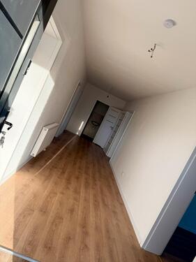 Foto - 4 Zimmer Etagenwohnung in Greifswald