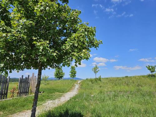Foto - Einfamilienhaus zum Kaufen in Hengersberg