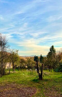 Foto - andere in Ronnenberg zur Miete