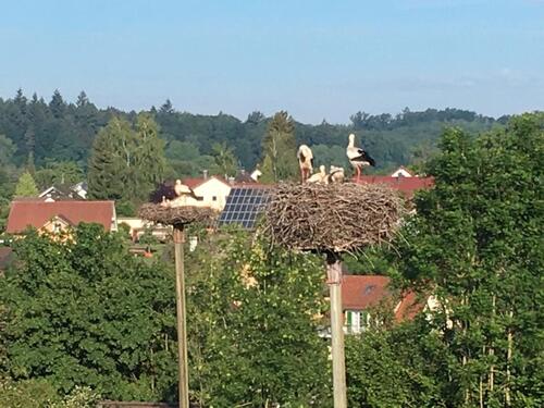 Foto - andere in Überlingen