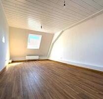 Erstbezug nach Kernsanierung; Single-Wohnung im Stadtkern von Speyer!