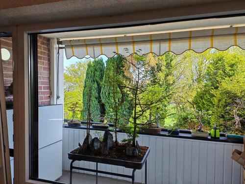 Foto - Einfamilienhaus in Schifferstadt