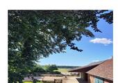Foto - Einfamilienhaus zum Kaufen in Hankensbüttel