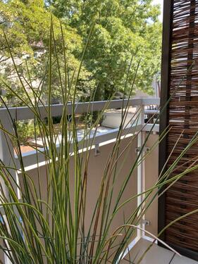 Foto - Etagenwohnung in Frankfurt am Main zur Miete