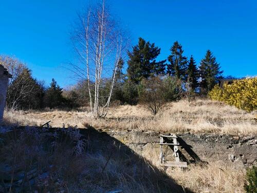 Foto - 8 Zimmer Mehrfamilienhaus, Wohnhaus in Malchin