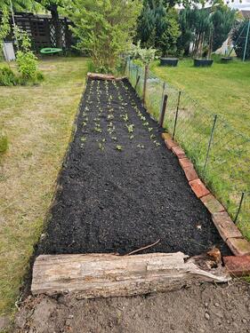 Foto - Grundstück in Lüneburg zur Miete