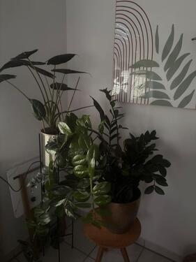 Foto - Eigentumswohnung 2 Zimmer ca 55qm mit Garten