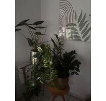 Eigentumswohnung 2 Zimmer ca 55qm mit Garten - Bocholt