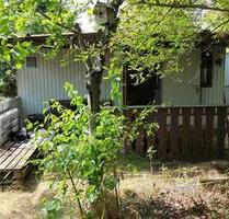 Garten Kleingarten Schrebergarten Pachtgarten Hannover Nord