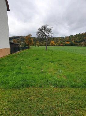 Foto - Pacht vom Wiese Gartengrundstück Holzlager Garten