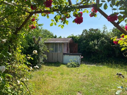 Foto - Grundst&uuml;ck in Finsterwalde