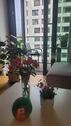 Foto - 2 Zimmer Etagenwohnung in Berlin