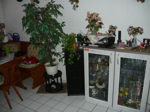 Foto - 