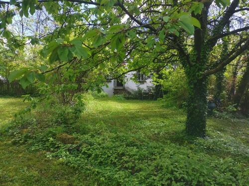 Foto - Einfamilienhaus in Mandelbachtal zum Kaufen