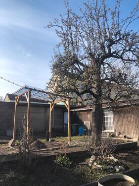 Foto - Kleingarten nahe Spree abzugeben (Gartensparte 8. Mai)