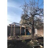 Kleingarten nahe Spree abzugeben (Gartensparte 8. Mai) - Cottbus Brunschwig