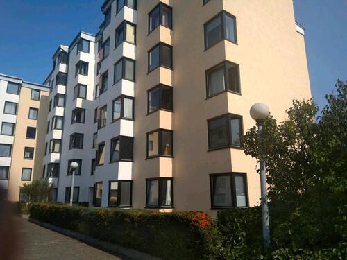 Foto - 1 Zimmer Etagenwohnung zur Miete in Mainz