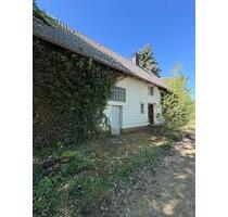 EINFAMILIENHAUS MIT LOFTCHARAKTER - Soest