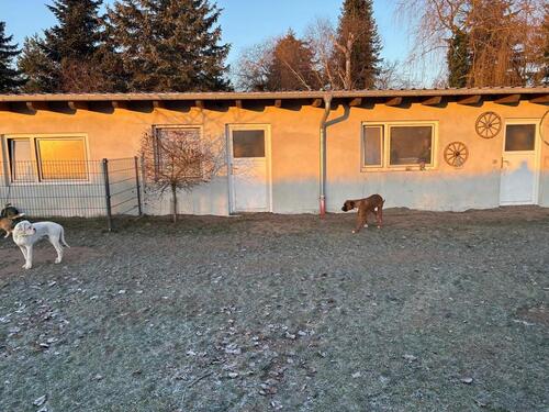 Foto - 7 Zimmer Einfamilienhaus in Löwenberger Land