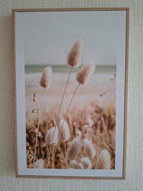 Foto - Ruhige Wohnung im JohannisviertelZiegelhof