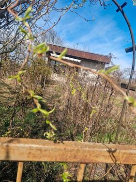 Foto - Grundst&uuml;ck in Cottbus