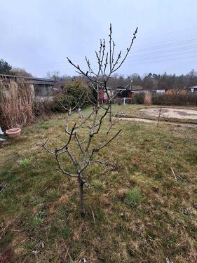 Foto - Grundst&uuml;ck in Brandenburg an der Havel zur Miete