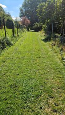 Foto - 6 Zimmer Einfamilienhaus in Rammelsbach