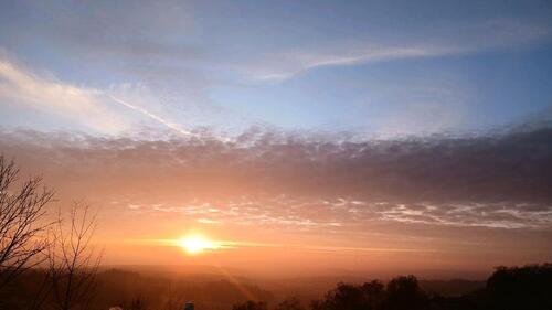 Foto - 4 Zimmerwohnung mit Garten und Seperatem Eingang