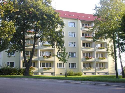 Foto - 3 Zimmer Erdgeschoßwohnung zur Miete in Chemnitz