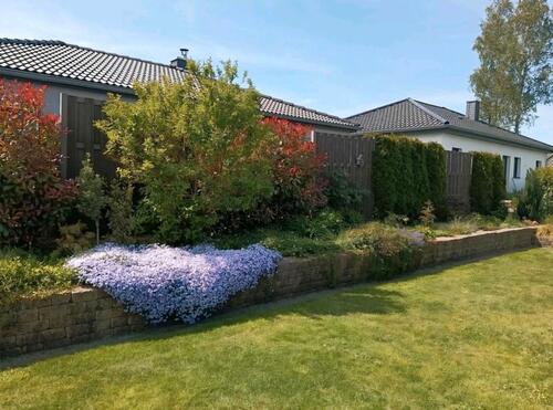 Foto - Einfamilienhaus in Sassenburg zum Kaufen