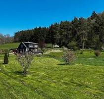 Einfamilienhaus in Alleinlage - Energie A - ehem. Mühle - 4,5 ha - Simmern/Hunsrück
