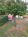 Foto - kleingarten - 2.800,00 EUR Kaltmiete, ca.  0,00 m²