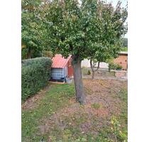 kleingarten - 2.800,00 EUR Kaltmiete, ca.  0,00 m² in Wernigerode (PLZ: 38855)