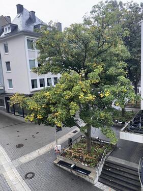 Foto - Siegen Oberstadt, hochwertige Ausstattung, inkl. Küche
