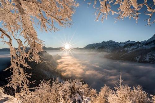 Foto - Ferienwohnungen Pfronten#Allgäu#Neuschwanstein